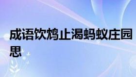 成语饮鸩止渴蚂蚁庄园（成语饮鸩止渴什么意思