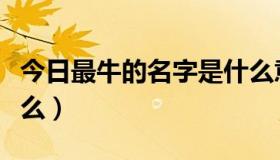 今日最牛的名字是什么意思（最牛的名字是什么）