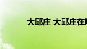 大邱庄 大邱庄在哪个省哪个市