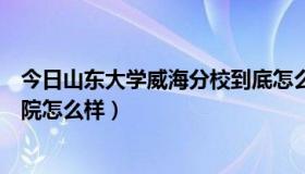 今日山东大学威海分校到底怎么样（山东大学威海分校商学院怎么样）