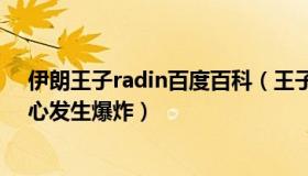 伊朗王子radin百度百科（王子3e3M：伊朗一武器生产中心发生爆炸）