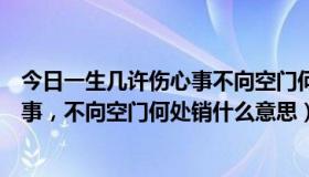 今日一生几许伤心事不向空门何处销的诗意（一生几许伤心事，不向空门何处销什么意思）