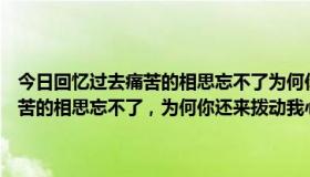 今日回忆过去痛苦的相思忘不了为何你还来拨动我心跳（回忆过去，痛苦的相思忘不了，为何你还来拨动我心跳…的歌名叫什么）