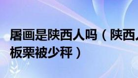 屠画是陕西人吗（陕西人在深圳董哥：西安买板栗被少秤）