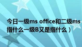 今日一级ms office和二级ms office（一级MS OFFICE是指什么一级B又是指什么）