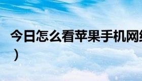 今日怎么看苹果手机网络制式（手机网络制式）