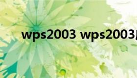 wps2003 wps2003序列号永久激活）