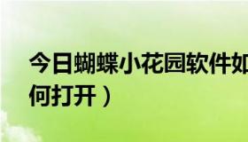 今日蝴蝶小花园软件如何打开（VSD软件如何打开）