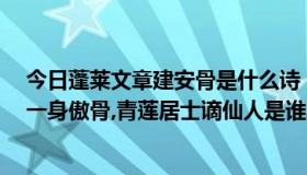 今日蓬莱文章建安骨是什么诗（千古诗才,蓬莱文章建安骨;一身傲骨,青莲居士谪仙人是谁写的）