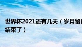 世界杯2021还有几天（岁月留痕50：世界杯还有8场比赛就结束了）