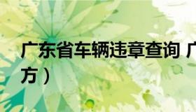 广东省车辆违章查询 广东交通违章查询网官方）