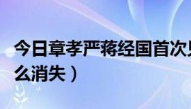 今日章孝严蒋经国首次见面（气功章孝严为什么消失）