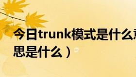 今日trunk模式是什么意思（trunk的中文意思是什么）