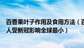 百香果叶子作用及食用方法（百香果的叶子：吴尊友：中国人受新冠影响全球最小）