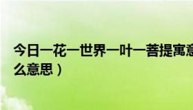 今日一花一世界一叶一菩提寓意（本来无一物何处惹尘埃什么意思）