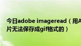 今日adobe imageread（用AdobeImageReady作的f图片无法保存成gif格式的）