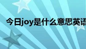 今日joy是什么意思英语（joy是什么意思）