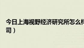 今日上海视野经济研究所怎么样（上海视野知成管理咨询公司）