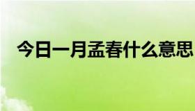 今日一月孟春什么意思（YYmc什么意思）