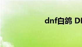 dnf白鸽 DNF白羽