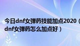 今日dnf女弹药技能加点2020（dnf女弹药90版本加点2017dnf女弹药怎么加点好）