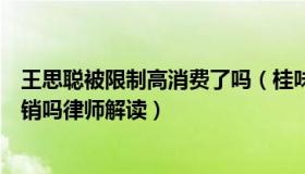 王思聪被限制高消费了吗（桂味良朋：王思聪行政处罚会撤销吗律师解读）