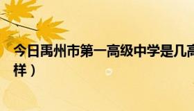 今日禹州市第一高级中学是几高（禹州市第一高级中学怎么样）