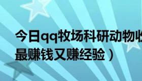 今日qq牧场科研动物收益（牧场养什么动物最赚钱又赚经验）