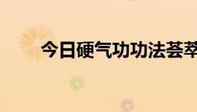 今日硬气功功法荟萃（硬气功功法）