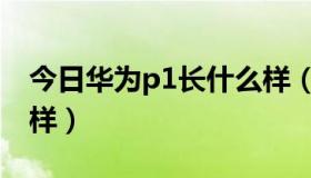 今日华为p1长什么样（华为P1手机质量怎么样）