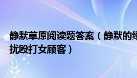 静默草原阅读题答案（静默的绿草地：男子进店要钱嫌少骚扰殴打女顾客）