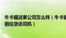 牛卡福这家公司怎么样（牛卡福集团：货运业内卷加剧低价困住货运司机）