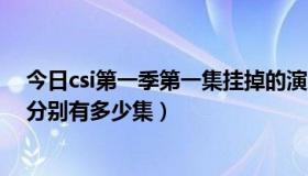 今日csi第一季第一集挂掉的演员（csi一共有多少季每一季分别有多少集）