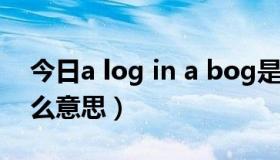 今日a log in a bog是什么意思（BOG是什么意思）