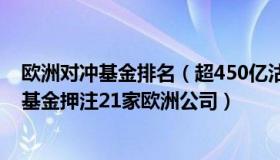 欧洲对冲基金排名（超450亿沽空欧洲股市！全球最大对冲基金押注21家欧洲公司）