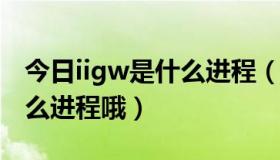 今日iigw是什么进程（系统进程里的alg是什么进程哦）