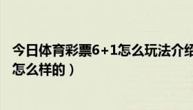 今日体育彩票6+1怎么玩法介绍（体育彩票6加1中奖规则是怎么样的）