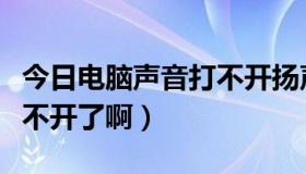 今日电脑声音打不开扬声器（野兔影院怎么打不开了啊）