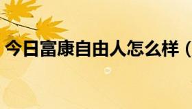 今日富康自由人怎么样（富康新自由人如何）