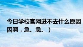 今日学校官网进不去什么原因（QQ空间进不去了，什么原因啊，急、急、）