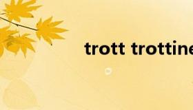 trott trottine安全座椅