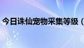 今日诛仙宠物采集等级（诛仙宠物如何采集）