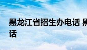 黑龙江省招生办电话 黑龙江教育厅招生办电话