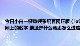 今日小白一键重装系统官网正版（la讨论区我太小白了不太懂这个还有网上的数字 地址是什么意思怎么进这个摄取是干什么的）