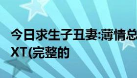 今日求生子丑妻:薄情总裁的烙痕全文加番外TXT(完整的