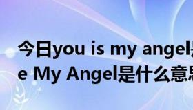 今日you is my angel是什么意思?（You Are My Angel是什么意思）