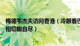 梅德韦杰夫访问香港（冷眼看巴蜀：梅德韦杰夫建议日本首相切腹自尽）