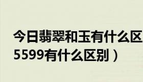 今日翡翠和玉有什么区别（1069095599和95599有什么区别）