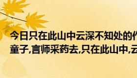 今日只在此山中云深不知处的作者是谁是哪个朝代（松下问童子,言师采药去,只在此山中,云深不知处.作者是谁）