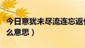 今日意犹未尽流连忘返什么意思（流连忘返什么意思）